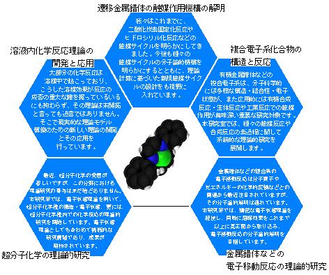Research in Sakaki Lab